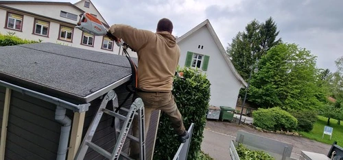 Hecke Schneiden Winterthur - Impressionen unserer Arbeit