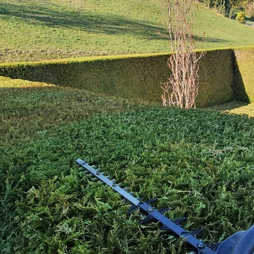 Hecke Schneiden Winterthur - Professionell & Präzise